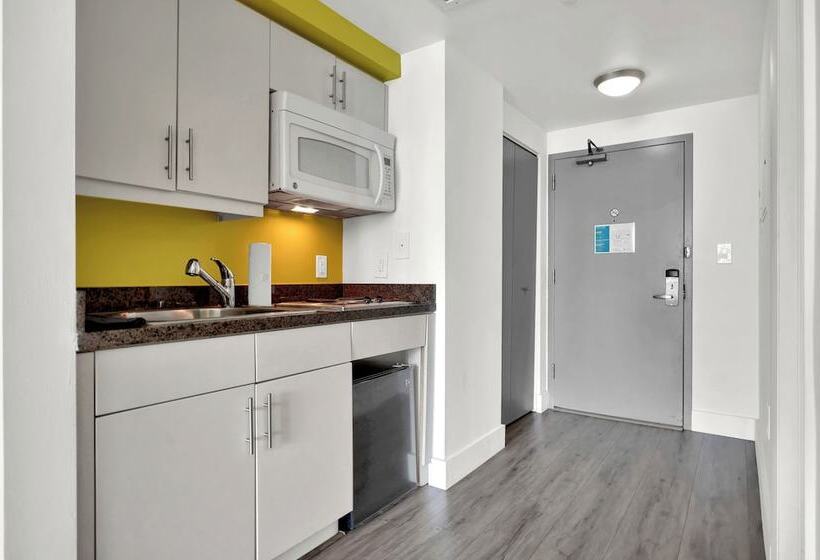 Stunning 12th Floor Studio In The Grove