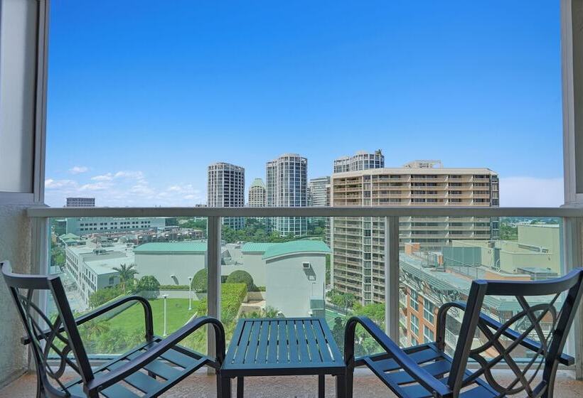 Stunning 12th Floor Studio In The Grove