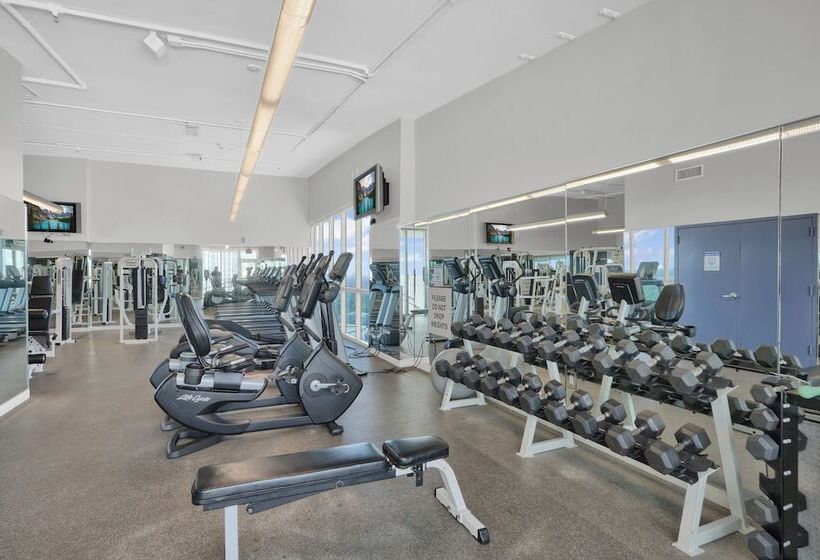 Stunning 12th Floor Studio In The Grove