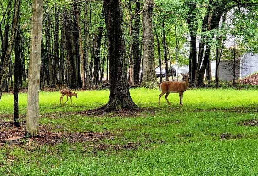 The Tranquil Trails By Avantstay Lake Access, Deck, Fireplace