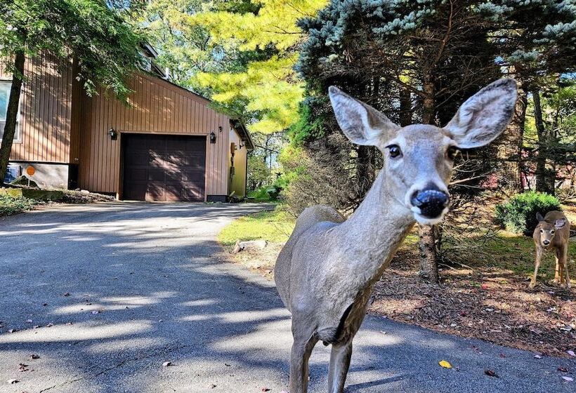 Waterside Haven By Avantstay Lakefront, Hot Tub, Game Room, Fire Pit