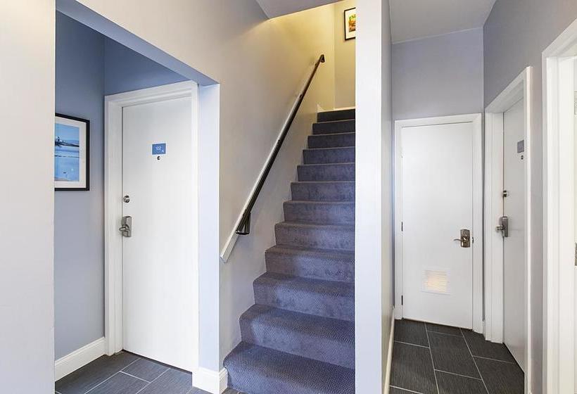 Quarters On Dot By Thatch