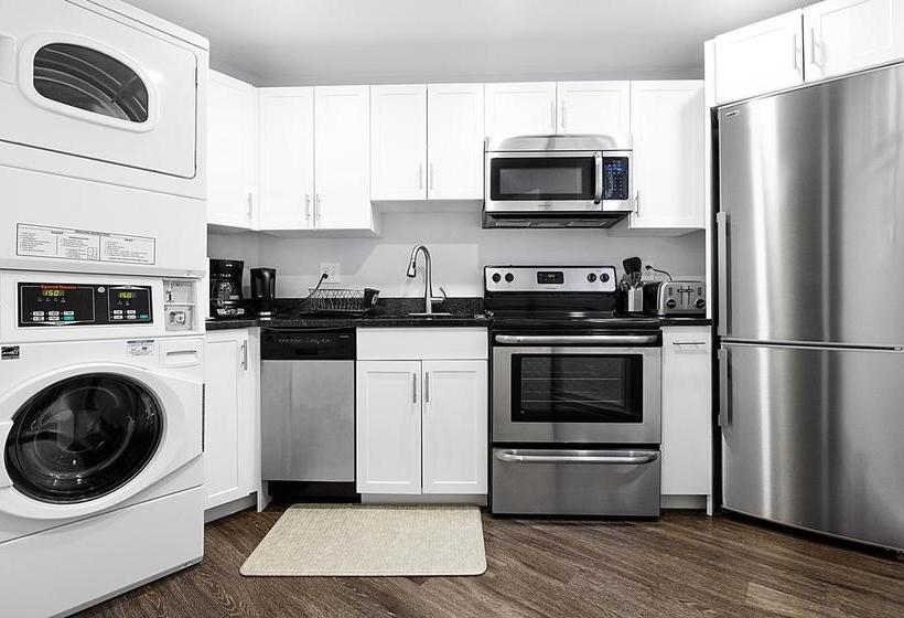 Quarters On Dot By Thatch