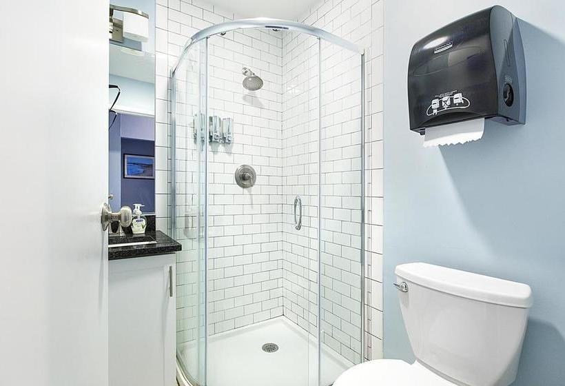 Quarters On Dot By Thatch