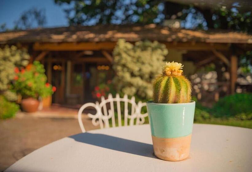 مبيت وإفطار Casa De Coria