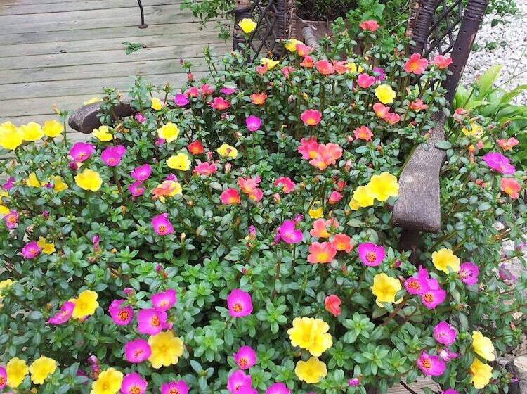 צימר Farmers Guest House