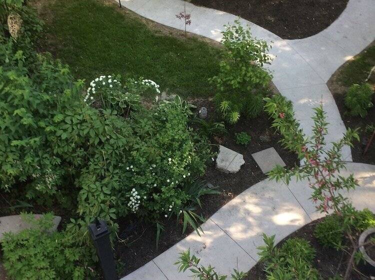 צימר The Ginkgo Tree