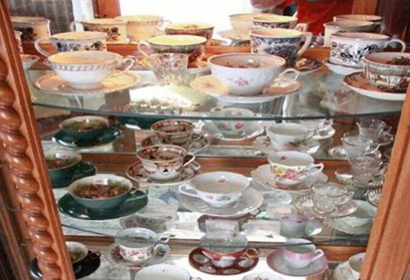 Bed and Breakfast The Ginkgo Tree