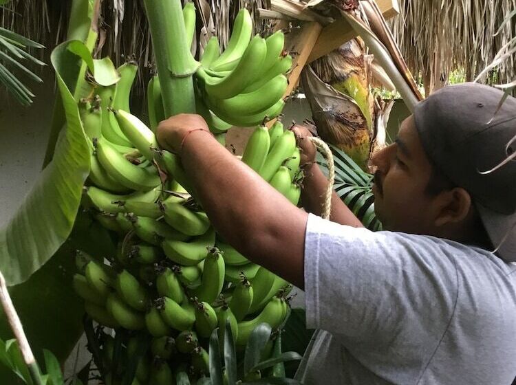 مبيت وإفطار Hacienda La Rusa
