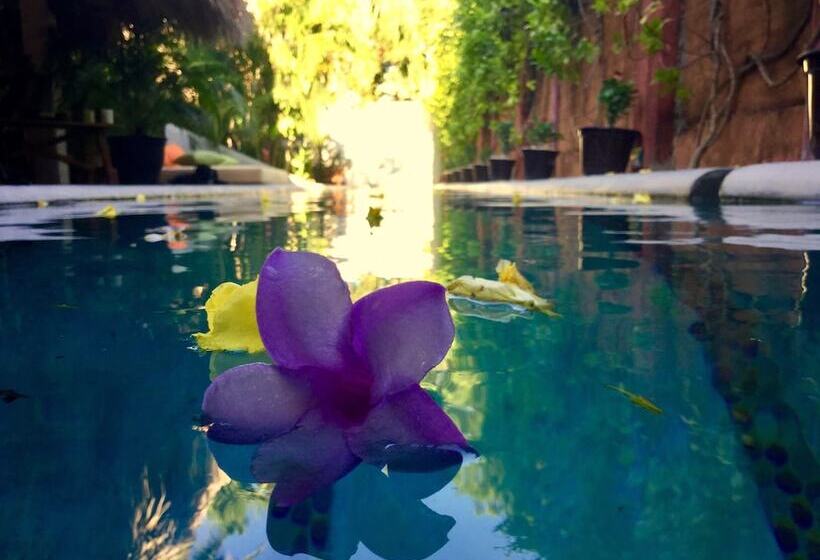 مبيت وإفطار Hacienda La Rusa