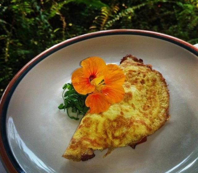 تختخواب و صبحانه Hale Hualalai