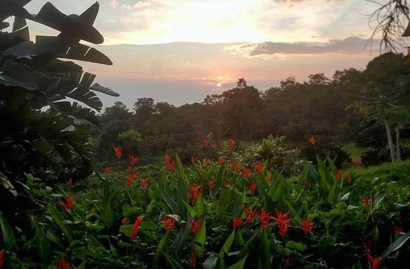 تختخواب و صبحانه Hale Hualalai