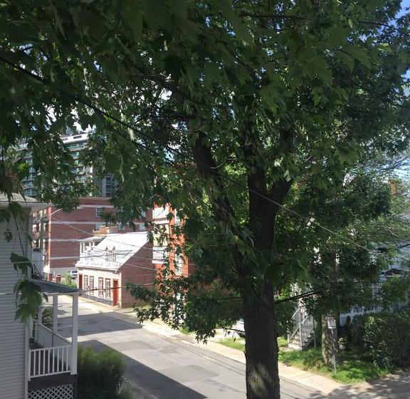 住宿加早餐  Maison Wickenden