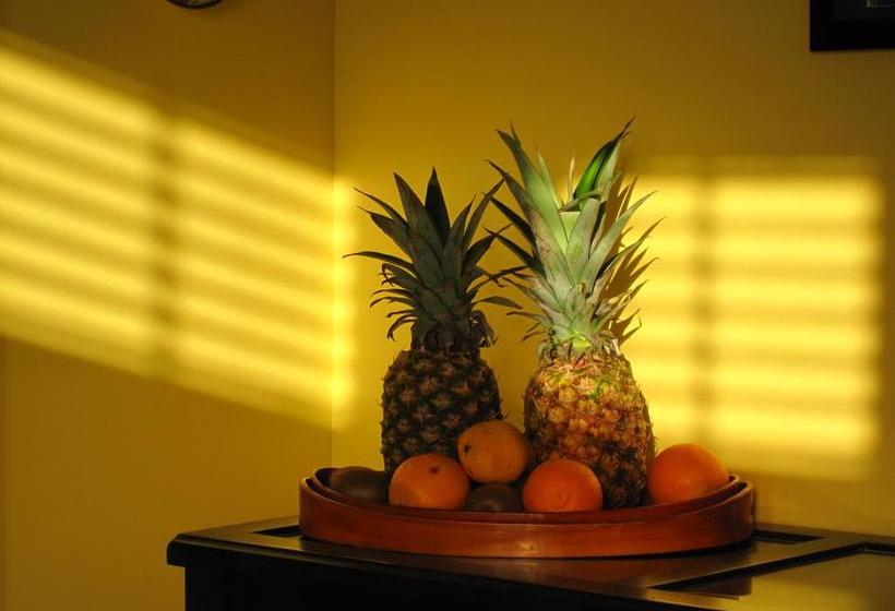 住宿加早餐  Maison Wickenden