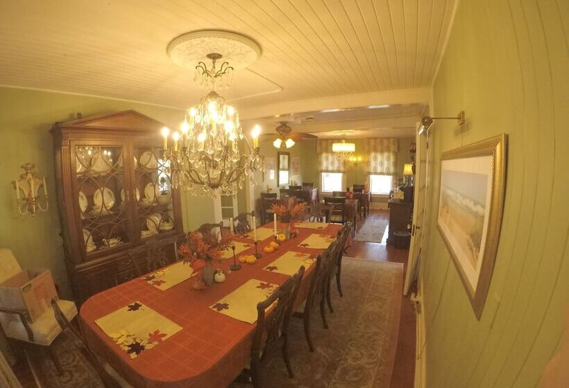 مبيت وإفطار The Hibiscus House