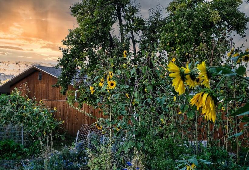 مبيت وإفطار The Loubird Inn