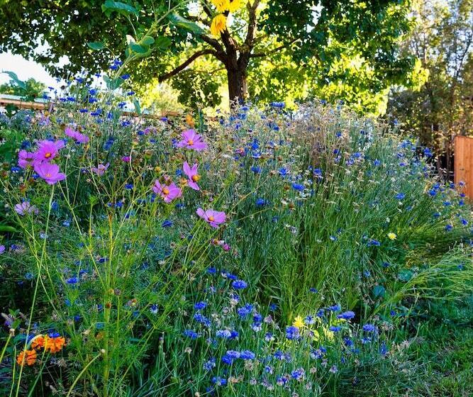 مبيت وإفطار The Loubird Inn