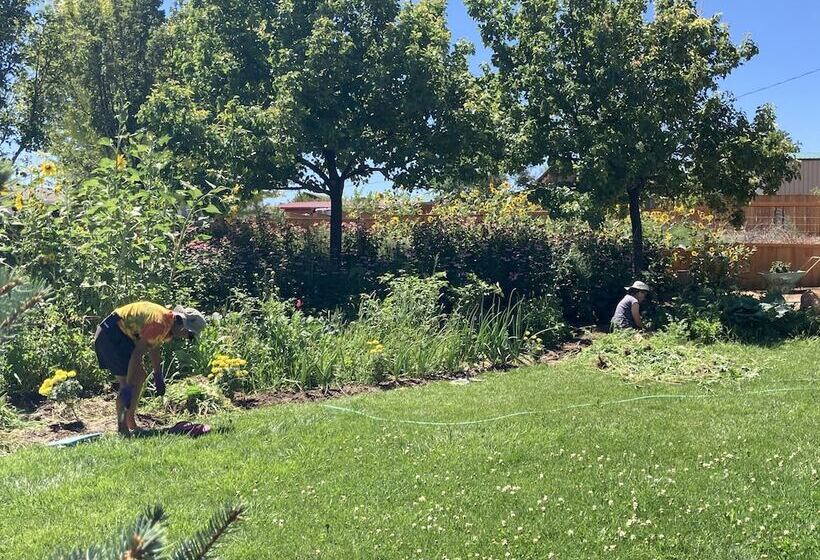 مبيت وإفطار The Loubird Inn