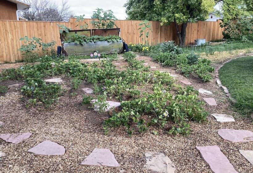 مبيت وإفطار The Loubird Inn