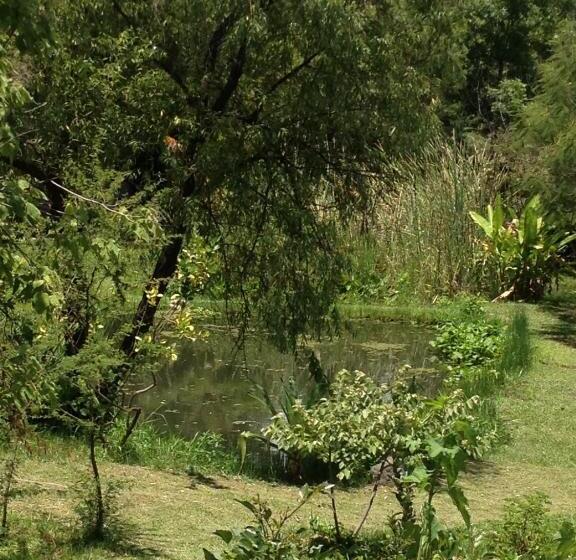 住宿加早餐  Yolitia Wellness