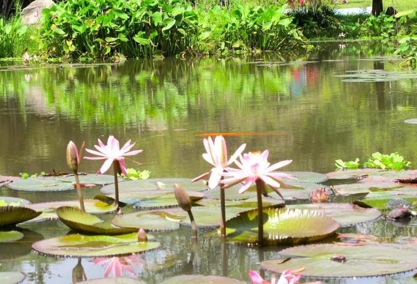 住宿加早餐  Yolitia Wellness