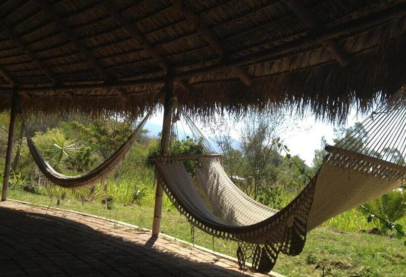 Bed and Breakfast Yolitia Wellness