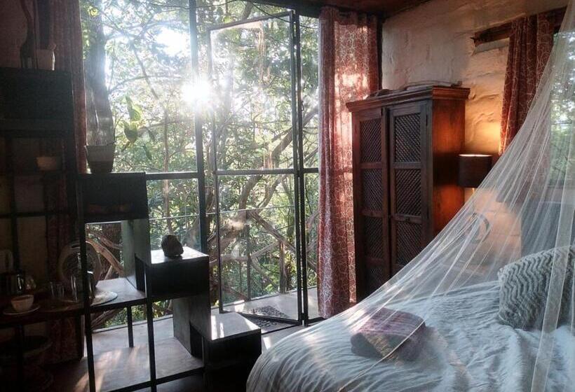 Bed and Breakfast Yolitia Wellness