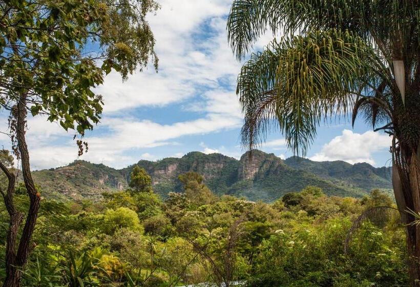 צימר Yolitia Wellness