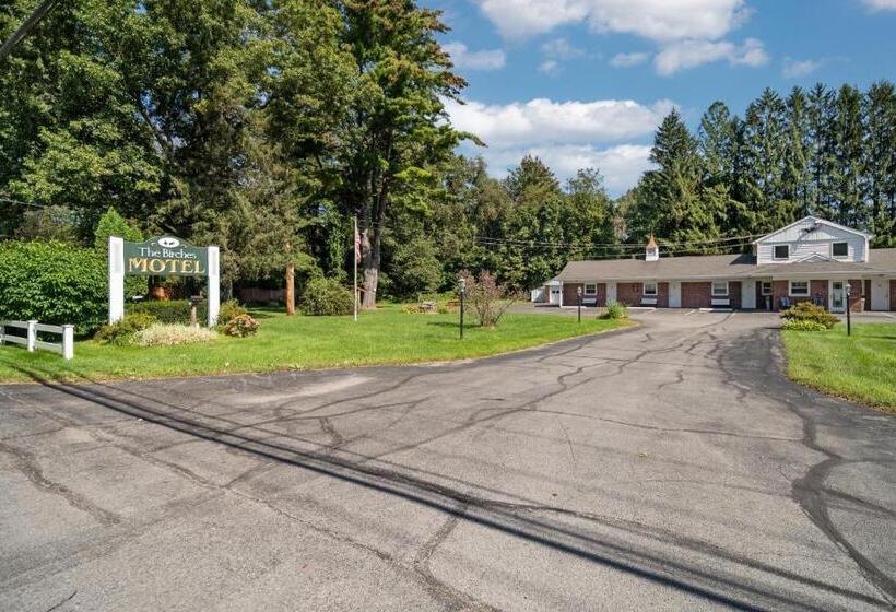 Birches Motel