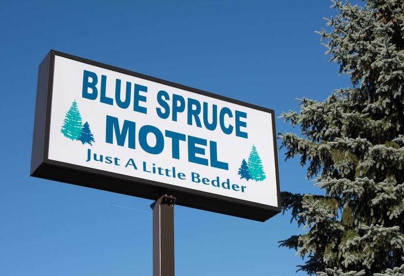 Blue Spruce Motel