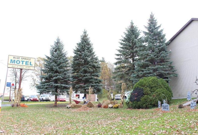 Blue Spruce Motel