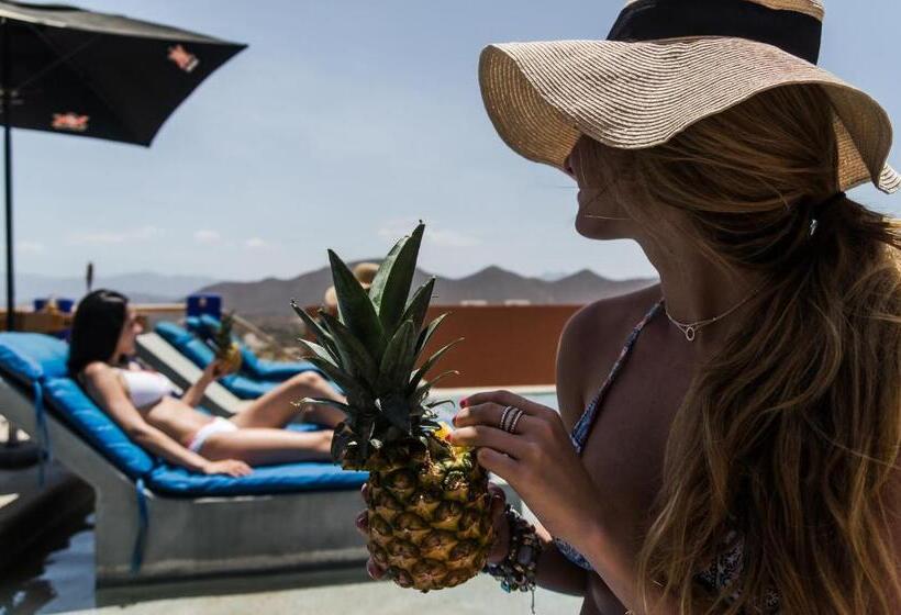 Cerritos Beach Hotel Desert Moon