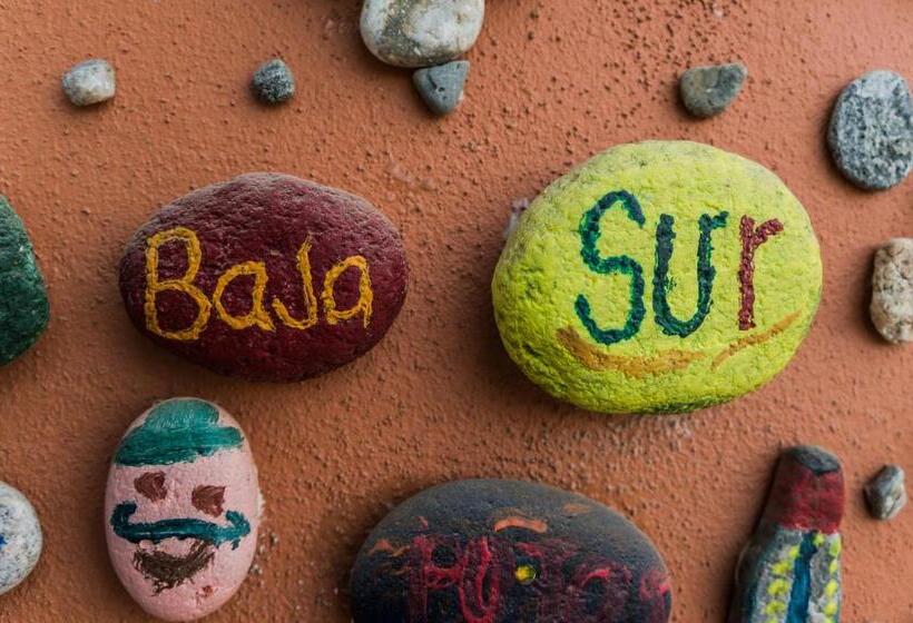 Cerritos Beach Hotel Desert Moon