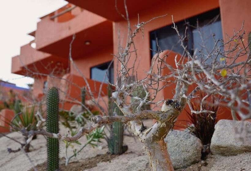 Cerritos Beach Hotel Desert Moon