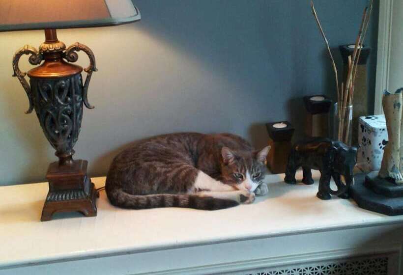 Clifford House Private Home B&b