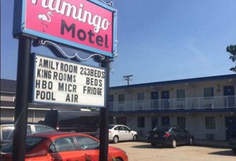 Flamingo Motel