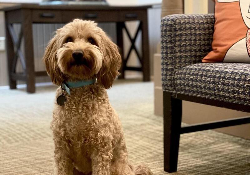 Historic Hotel Arvon