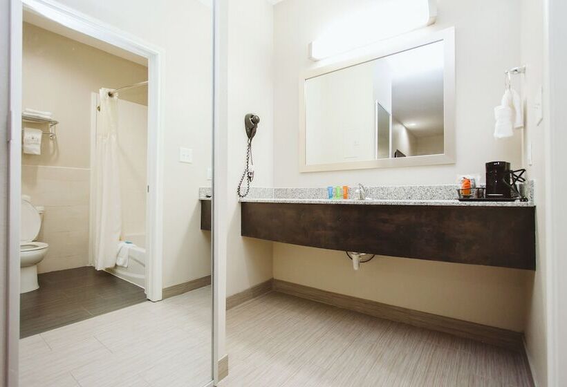 호텔 Americas Best Value Inn And Suites Iah Airport North