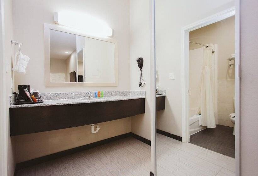 호텔 Americas Best Value Inn And Suites Iah Airport North