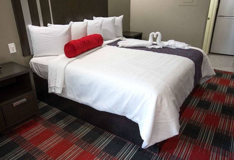 호텔 Americas Best Value Inn And Suites Iah Airport North