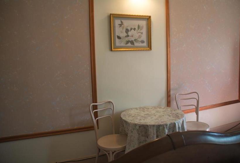 فندق Braun Resort