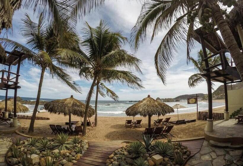 فندق Cabañas Punta Placer