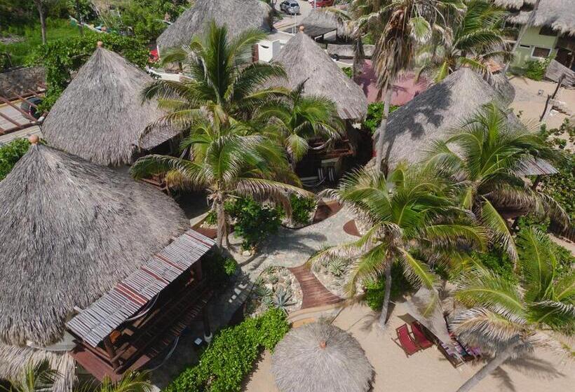 Отель Cabañas Punta Placer