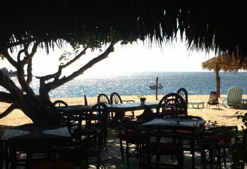 فندق Casa Luna Playa