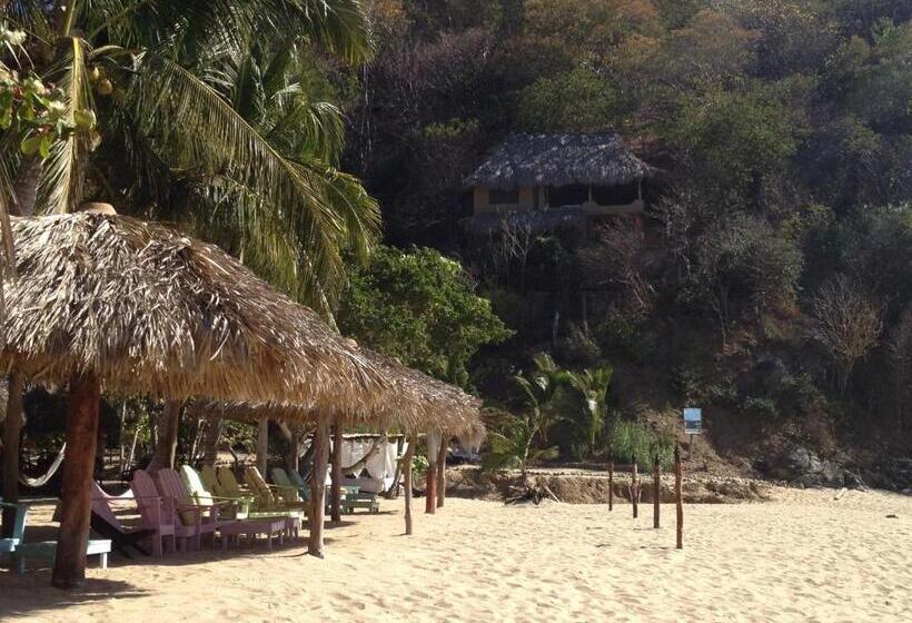 فندق Casa Luna Playa