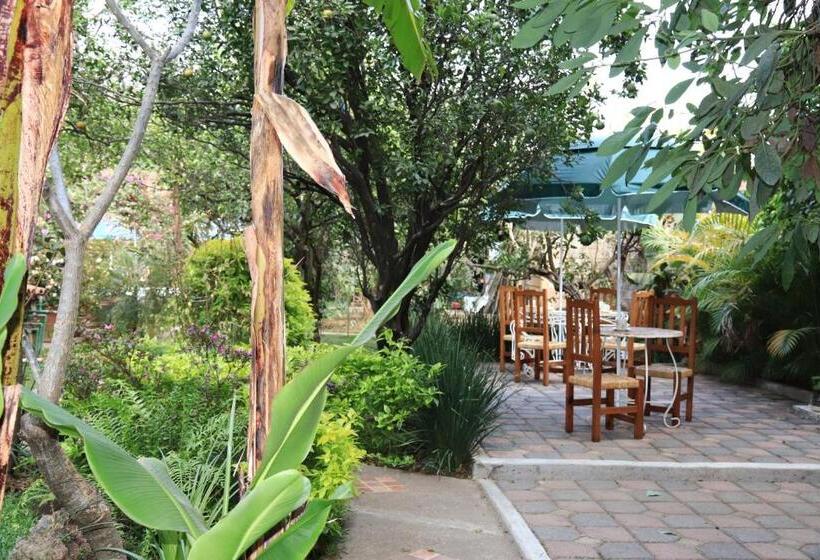 هتل Casa Pomarrosa