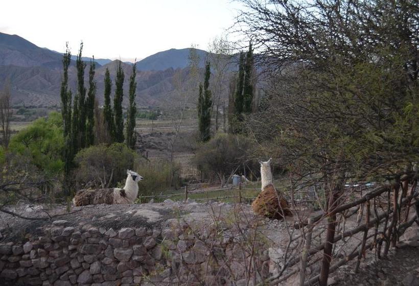 호텔 Cerro Chico Lo Del Frances