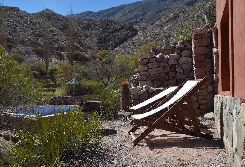 호텔 Cerro Chico Lo Del Frances