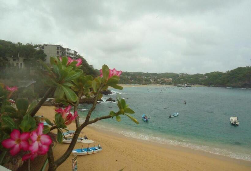 Отель Cordelia's