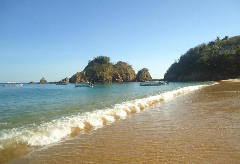 Отель Cordelia's